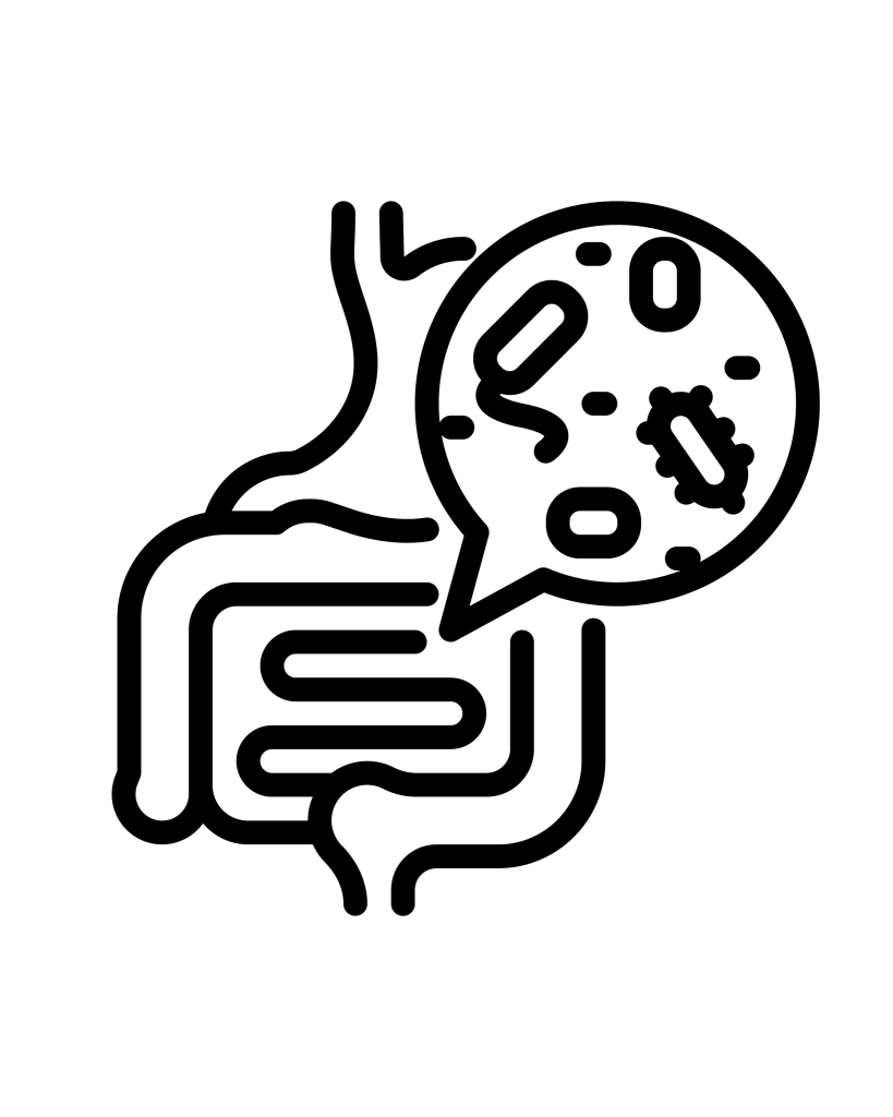 migraña dolor crónico microbiota flora intestinal intolerancias neuroinflamación PNI nutrición alimentación antiinflamatoria