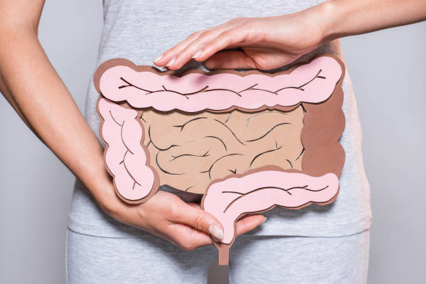 Bienestar digestivo e intestinal